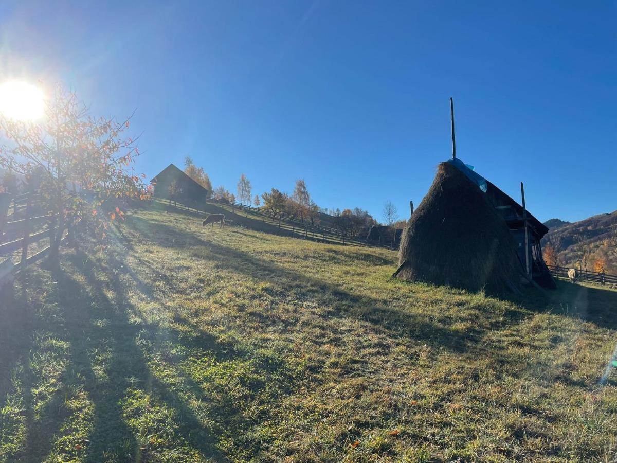 Bran Place La Odaie Шімон Екстер'єр фото