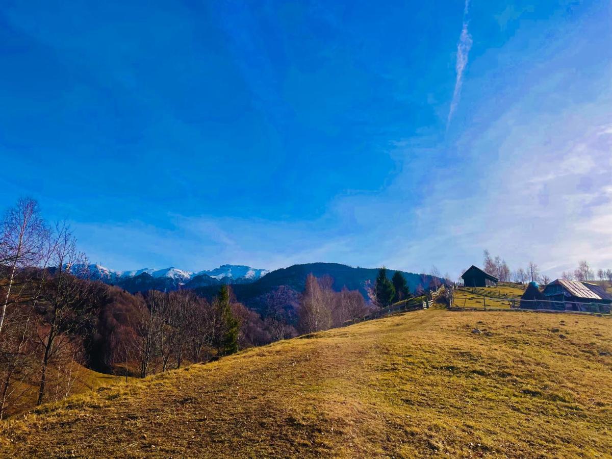 Bran Place La Odaie Шімон Екстер'єр фото
